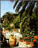 2038-capri-garden.jpg (62813 bytes)